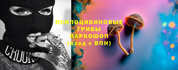 ГАЛЛЮЦИНОГЕННЫЕ ГРИБЫ Алексин