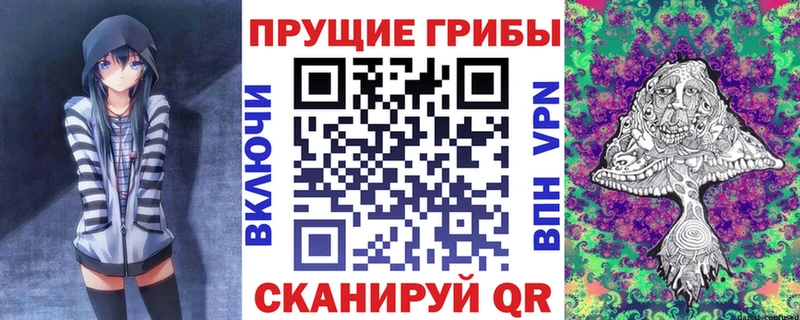 хочу   Белореченск  Псилоцибиновые грибы Psilocybe 